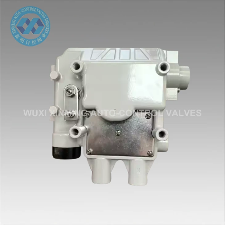 Fast Response Electrical Valve Positioner
